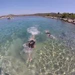 Dario *