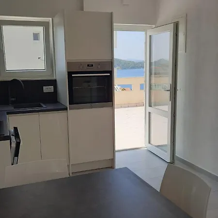 Dario Apartment Razanj